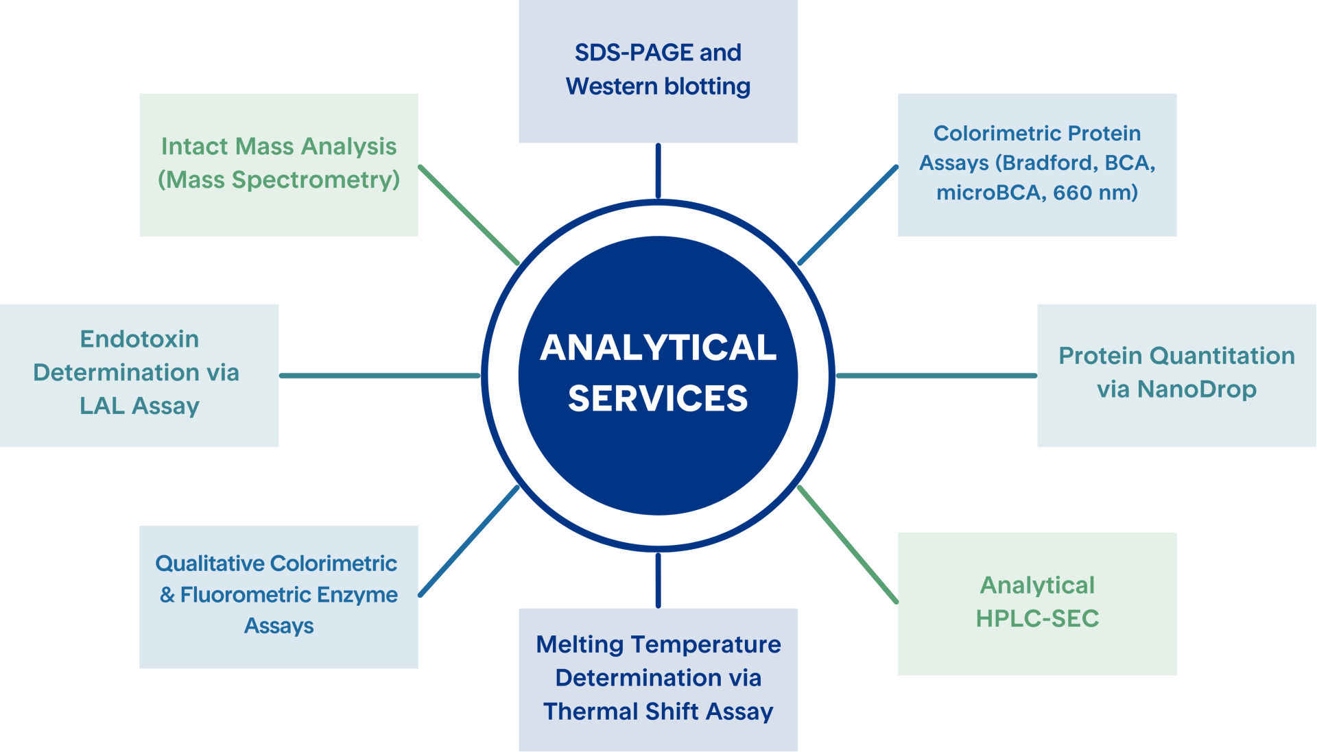 Colorful infographic depicting customized protein analytical services from Proteos | US-based recombinant protein production CRO