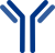 Simple graphic depicting antibody production and antibody purification services from Proteos | US-based recombinant protein production CRO