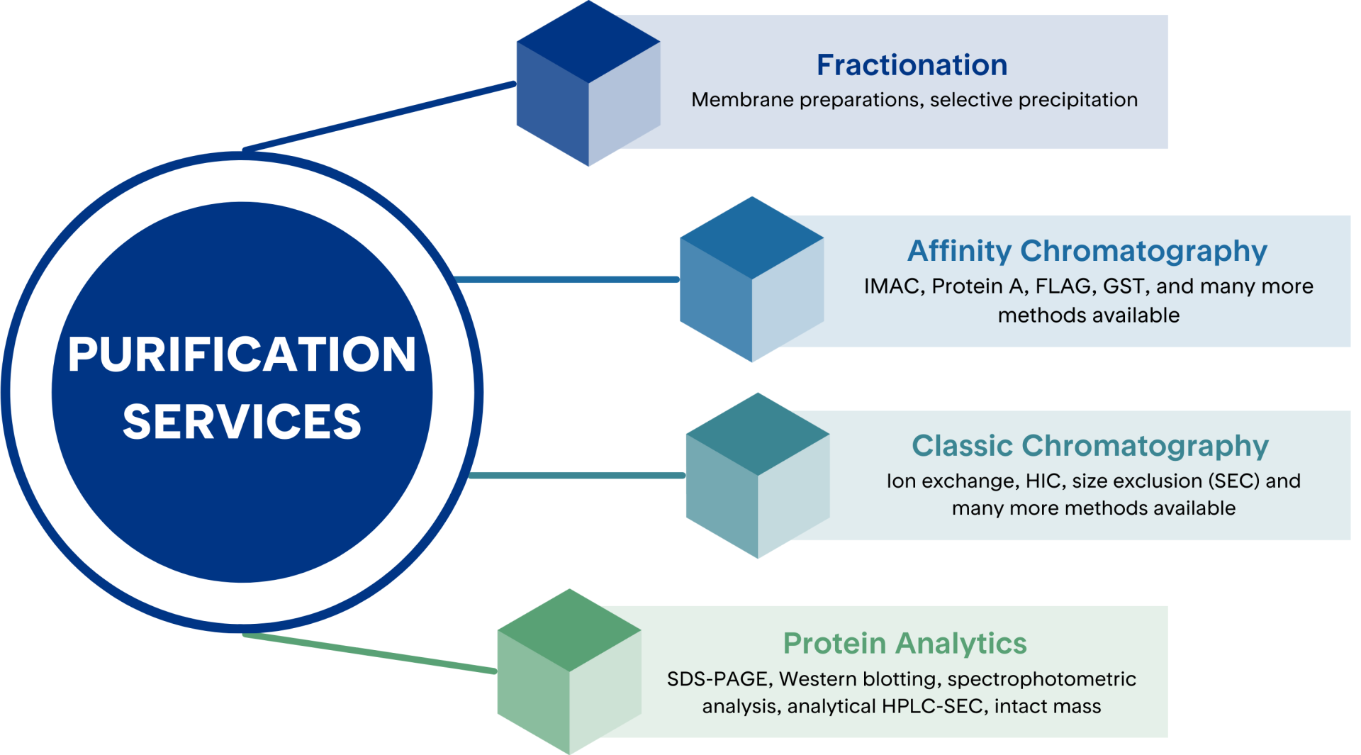 Colorful infographic depicting protein purification services from Proteos | US-based recombinant protein production CRO